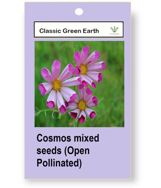 CLASSIC GREEN EARTH - Flower Seeds ( Cosmos mixed 50 seeds Open Pollinated )