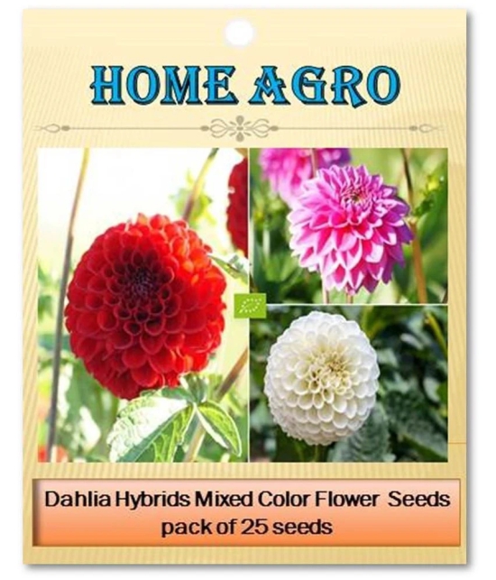 homeagro - Dahlia Mixed Flower ( 25 Seeds )