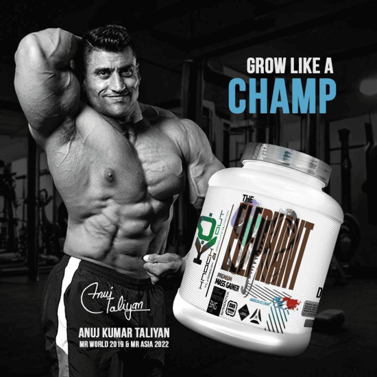 Elephant Mass Gainer - Power Up Your Gains (American Ice Cream)-American Ice Cream / 1 Kg