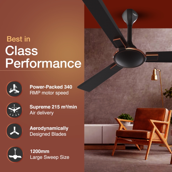 Exado AS Designer Ceiling Fan for Home 1.2 m, Matte Brown