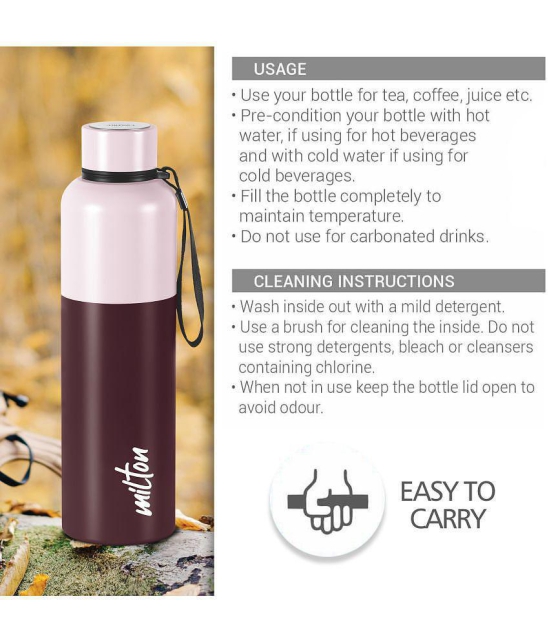 Milton Ancy 1000 Thermosteel Water Bottle, 1.05 Litre, Brown | 24 Hours Hot and Cold | Easy to Carry | Rust Proof | Tea | Coffee | Office| Gym | Home | Kitchen | Hiking | Trekking | Travel -