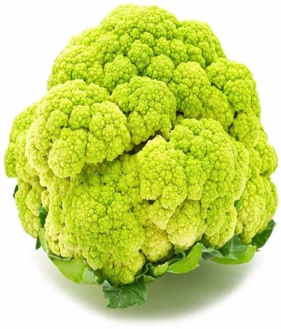 Vegetable Seeds Cauliflower (Gobhi )pack of 50 F1 Hybrid seeds