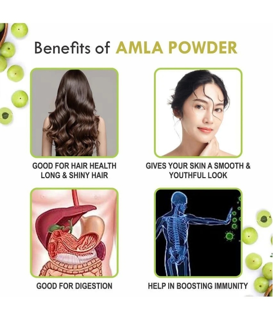 KAYABOOST Amla Powder for Drink, Eating, Hair Growth & Hair Strong (200 g)