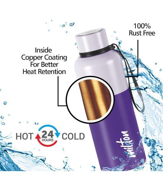 Milton Ancy 500 Thermosteel Water Bottle, 520 ml, Violet | 24 Hours Hot and Cold | Easy to Carry | Rust Proof | Tea | Coffee | Office| Gym | Home | Kitchen | Hiking | Trekking | Travel Bottl