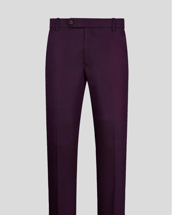 Wine Normal Fit Trousers-32