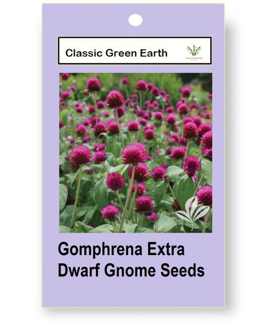 CLASSIC GREEN EARTH - Gomphrena Flower ( 50 Seeds )