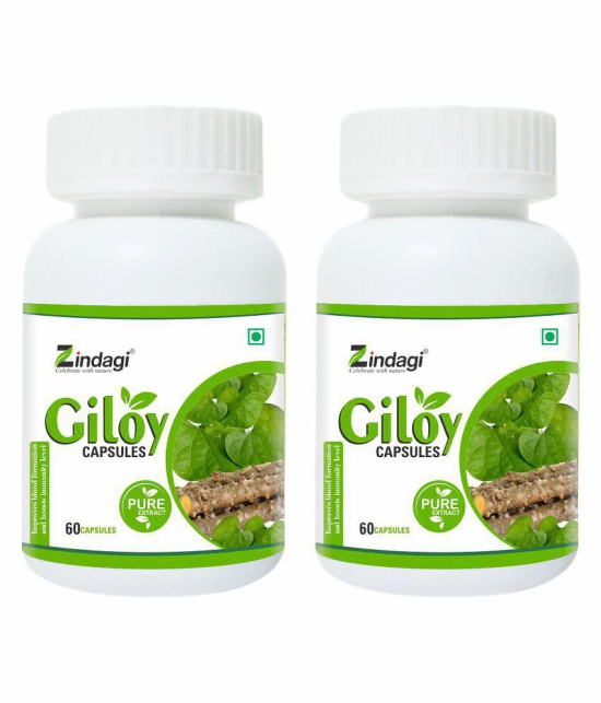 Zindagi Pure Giloy Capsule 120 gm