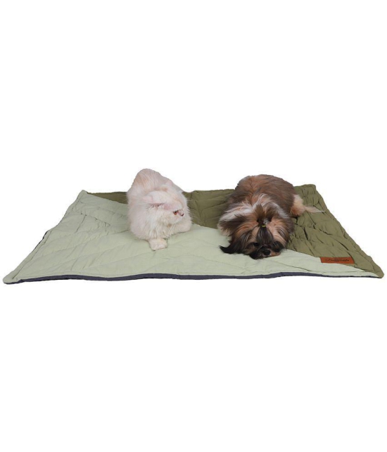 NUEVOS DOGGADIL Cotton Canvas Quilted Rectangle Cat Dog Pet Bed Mattress | Foldable Padded Pet Mat_ Green tone - Large