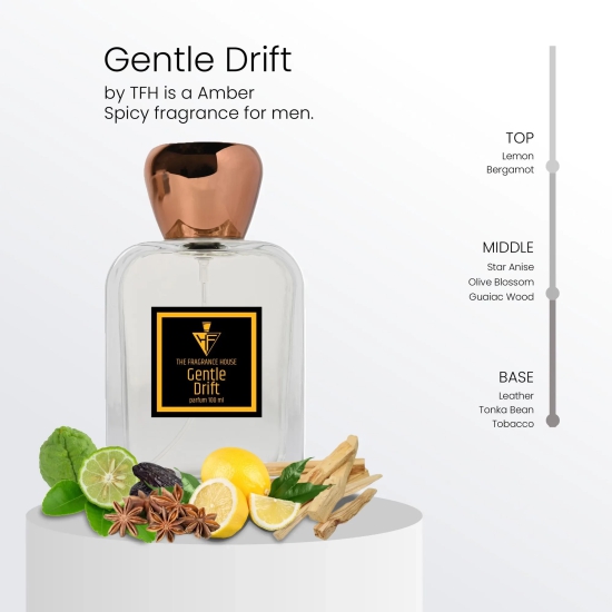 GENTLE DRIFT PARFUM FOR MEN-100 ML