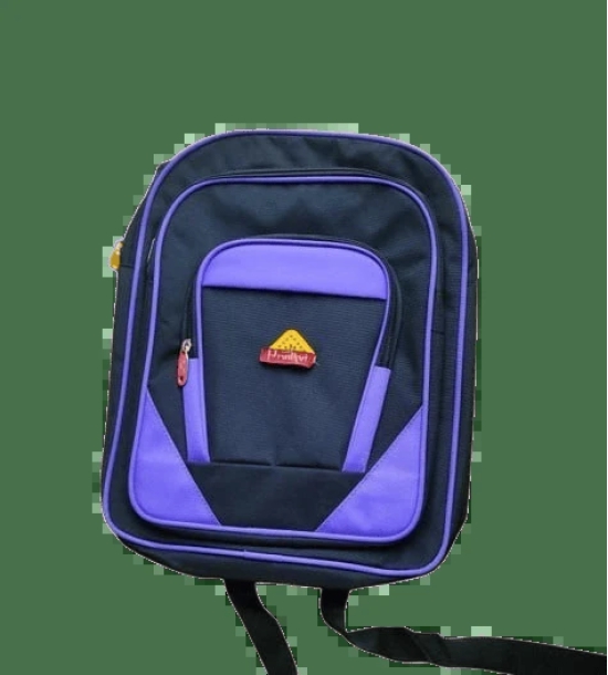 PRUDHVI SCHOOL BAGS- Classic Black and Purple School Bag