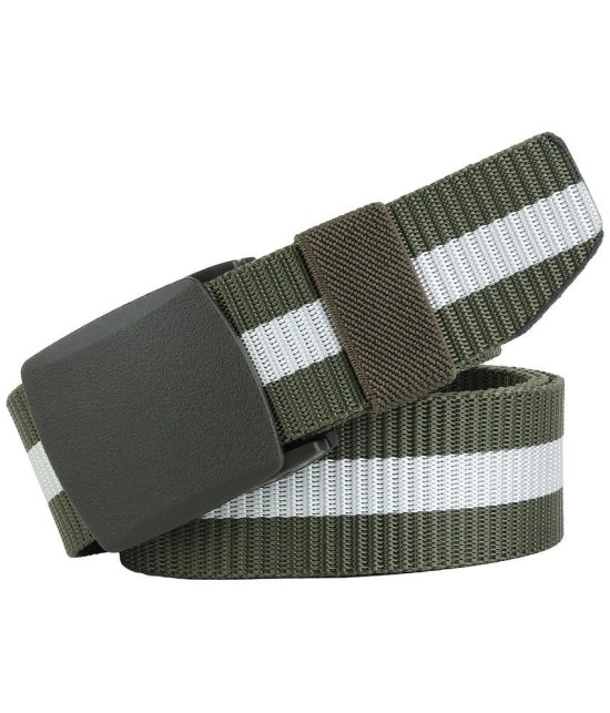 Loopa Multi Nylon Casual Belt Pack of 2 - None