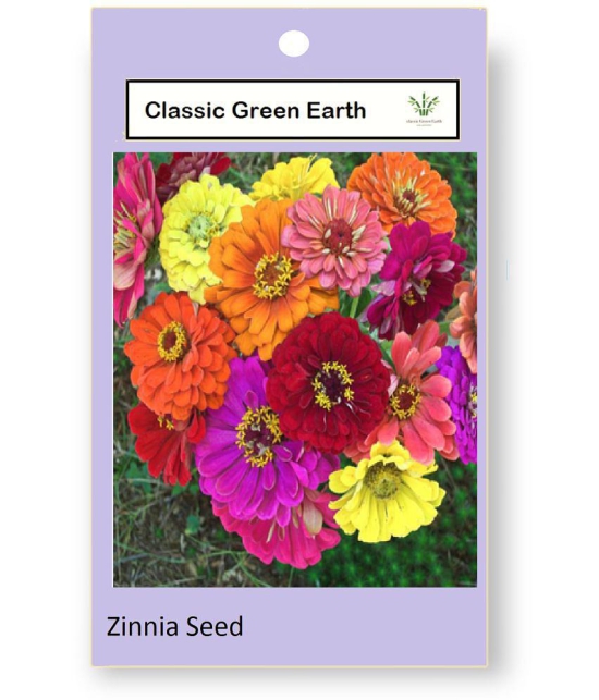 CLASSIC GREEN EARTH - Zinnia Flower ( 30 Seeds )