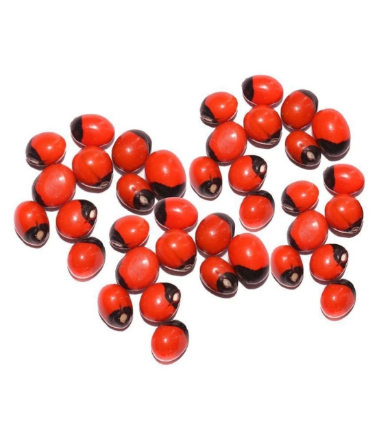 Yuvi Shoppe Natural Rakt Gunja / Red Chirmi Beads / Abrus Seed / Gamanchi / Gaunchi / Rati / Gulaganji / Guruvinda / Guruginia (21 pcs) Good for Wealth Benefit -(21 pcs)