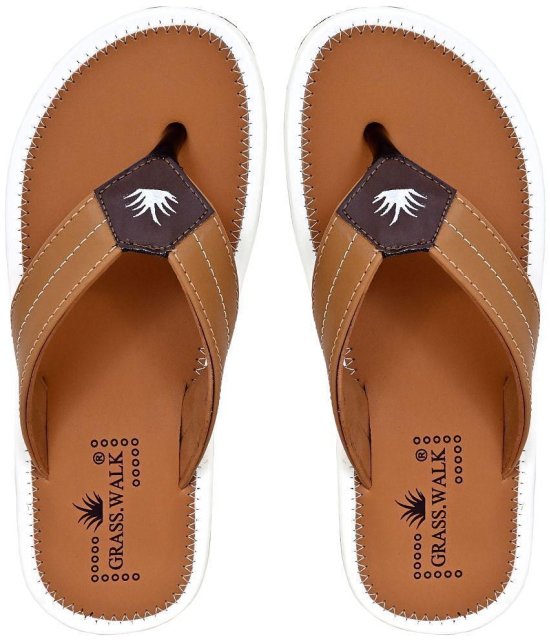 GRASS WALK - Brown Mens Thong Flip Flop - None