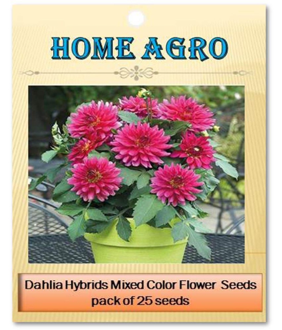 homeagro - Dahlia Mixed Flower ( 25 Seeds )