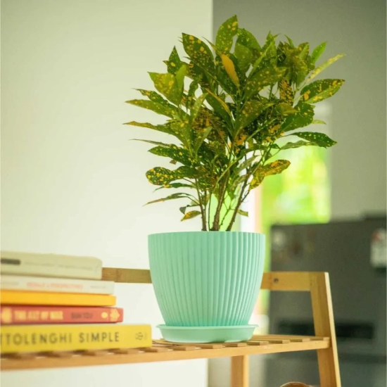 Fluted Dome Plastic Pot with Tray | Set of 5 Mint