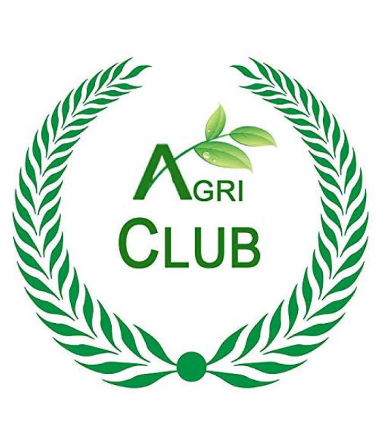 AGRI CLUB Basil Leaves 400 gm