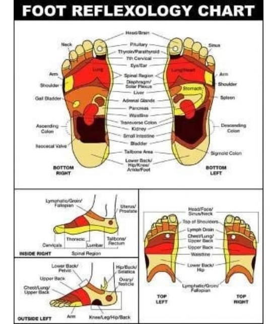 Horsefit  Manual Plastic Acupressure Foot Massager Plate with 24 Magnets for Stress Free, Blood Flow Controller, Pain Relief, Multicolor - Yellow