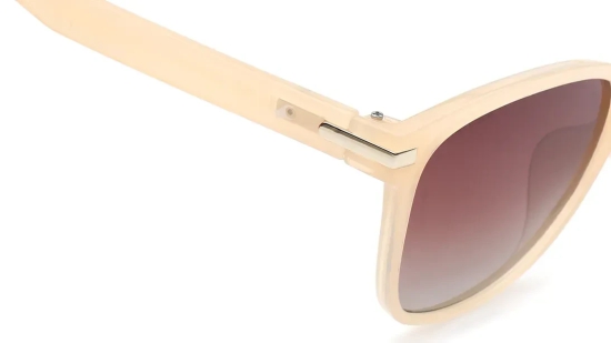 Brown Wayfarer Sunglasses for Women