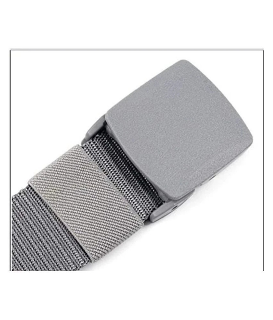 Livosorb - Grey Melange Fabric Mens Casual Belt ( Pack of 1 ) - Free Size