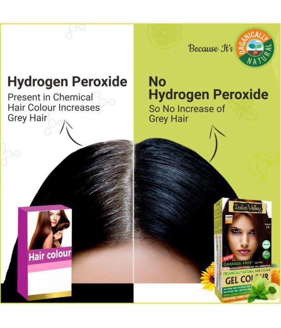 Indus Valley Organically Natural Hair Color No Ammonia Gel Hair Color Burgundy 3.6 , Burgundy