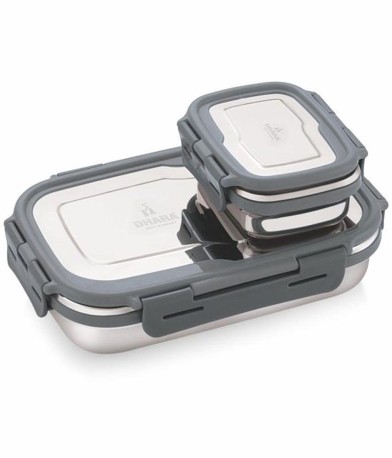 Dhara Stainless Steel Blaze Stainless Steel Insulated Lunch Box 2 - Container ( Pack of 1 )