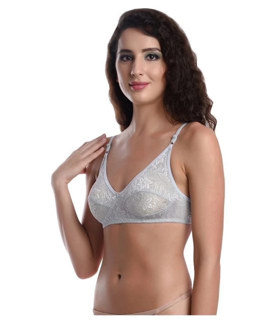 Madam Net/Mesh T-Shirt Bra - Grey Single - 36B