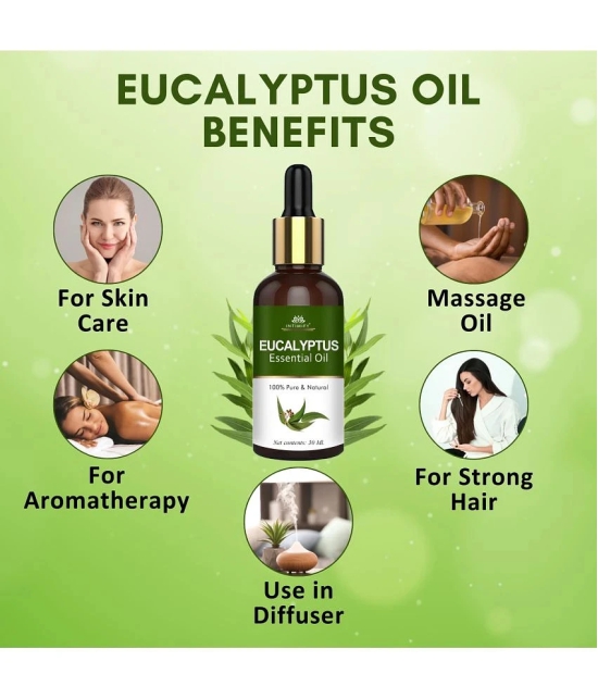 Intimify Eucalyptus Essential Oil, Hair Growth Oil, Hair Inhabiter Oil, Hair Loss Oil, 30 Ml