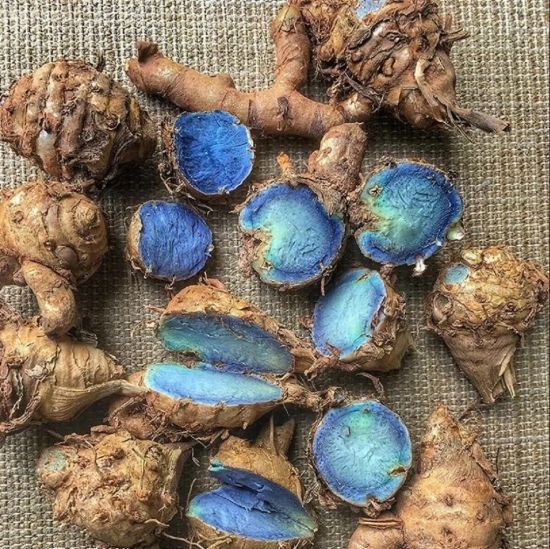 Black Turmeric