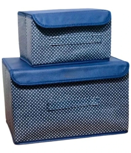 Sunesh creation - Foldable Non Woven Clothes Organisers Box (Pack of 2)