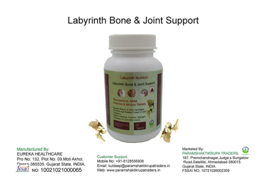 Labyrinth Joint Support_60T