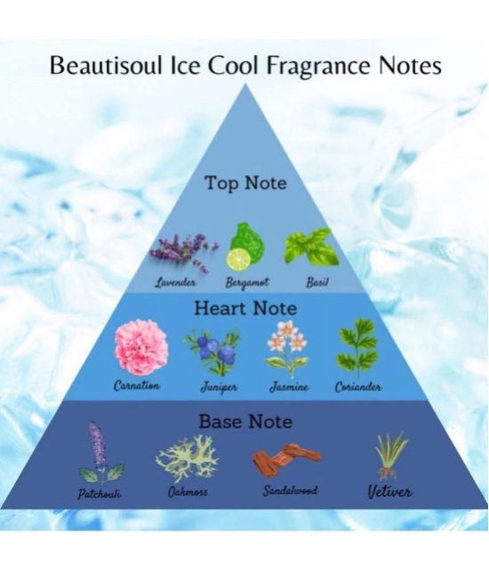 Beautisoul Beautisoul Ice Cool Talc Ice Cool Talc 200 gm Pack of 2