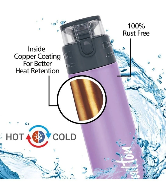 Milton Atlantis 400 Thermosteel Insulated Water Bottle, 350 ml, Purple | Hot and Cold | Leak Proof | Office Bottle | Sports | Home | Kitchen | Hiking | Treking | Travel | Easy To Carry | Rus