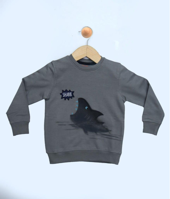 BOYS PRINTED SWEAT SHIRT