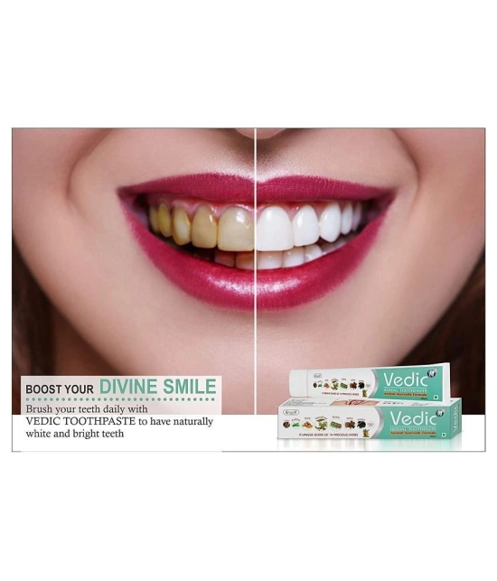 Ultra Pure - Vedic Mouth Freshener Toothpaste-Fluoride Free Toothpaste 100 gm Pack of 2