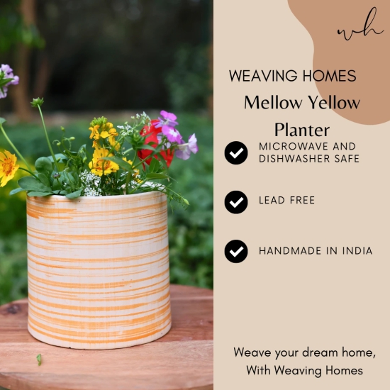 Mellow Yellow Planter-Single