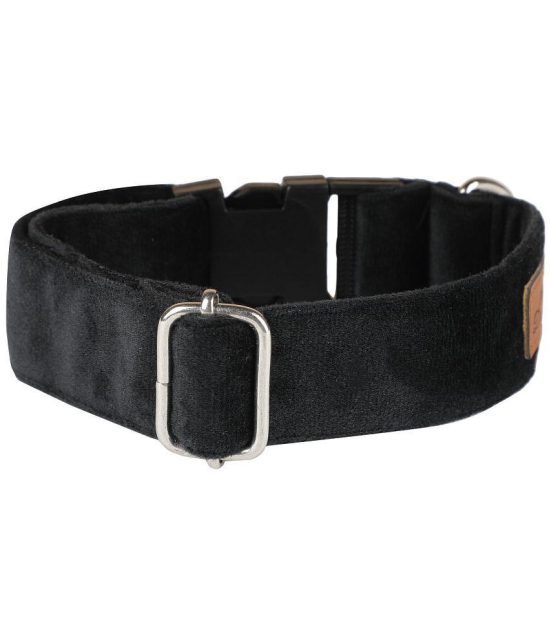 NUEVOS DOGGADIL - Black Collar ( Large ) - None