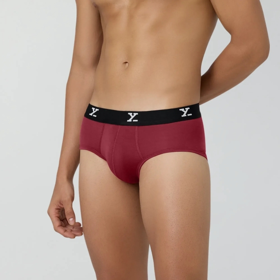 Classic Briefs Bold Burgundy XL