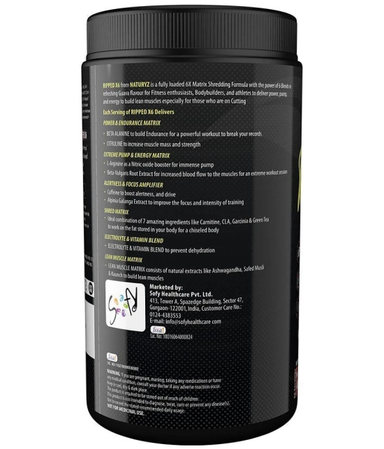 NATURYZ Ripped X6 Pre Workout With 24 Nutrients for Pump, Energy, Muscle gain - 400g(Guava Flavour)