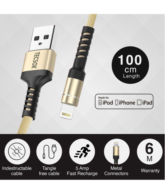 Tecsox Lightning Cable Golden - 1 Meter - Golden