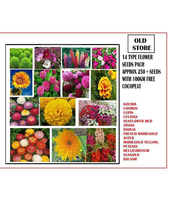 COMBO OF 14 TYPE FLOWER SEEDS WITH 100 GM FREE COCOPEAT 250+ SEEDS PACK AND USER MANUAL (ASTER,BALSAM,DAHLIA,COSMOS,CELOSIA,KOCHIA,MARIEGOLD YELLOW,FRENCH MARIEGOLD,SUN GOLD,SUNFLOWER MED,ZI