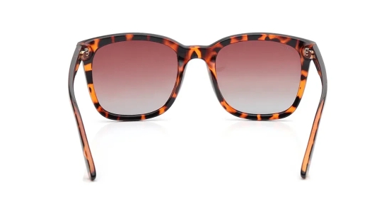 Brown Wayfarer Sunglasses for Unisex