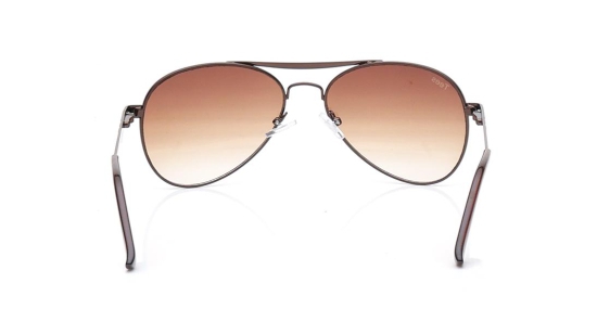 Brown Navigator Sunglasses for Men and Women