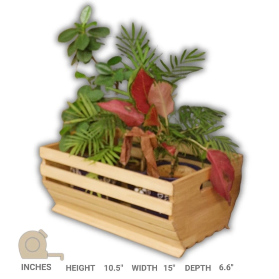 Barish - Handcrafted Rubberwood Planter Basket | Planter Baskets Living Room | Storage Baskets | Ideal for Gifting