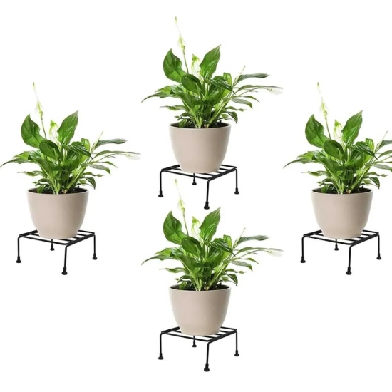 Urban Jungle Plant Stand Combo | 8 Pcs Metal Stand