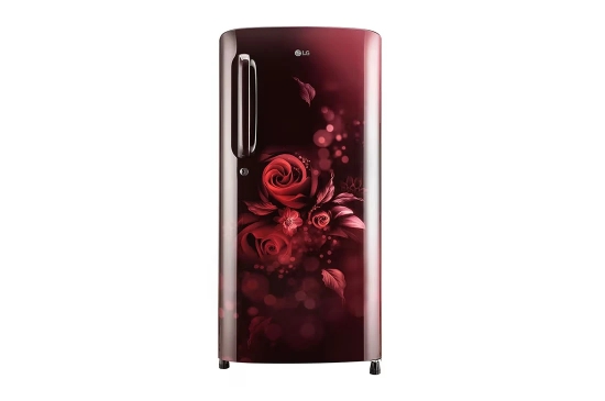 LG 192 Litres Single Door Refrigerator (Maroon - Flowers)