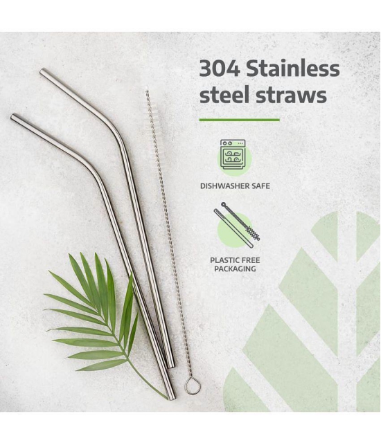 Rusabl Stainless Steel Silver Straws - Silver