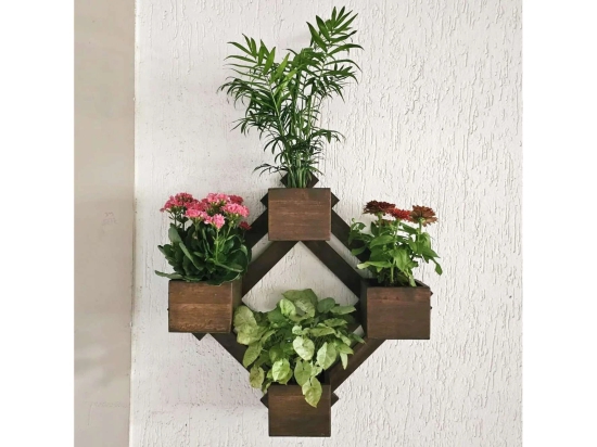 BARISH - Wall Mounted Planter - Diamond | Handcrafted with Rubberwood | Indoor Planter Frame with Stand 25 x 25 x 6 Inches - Walnut