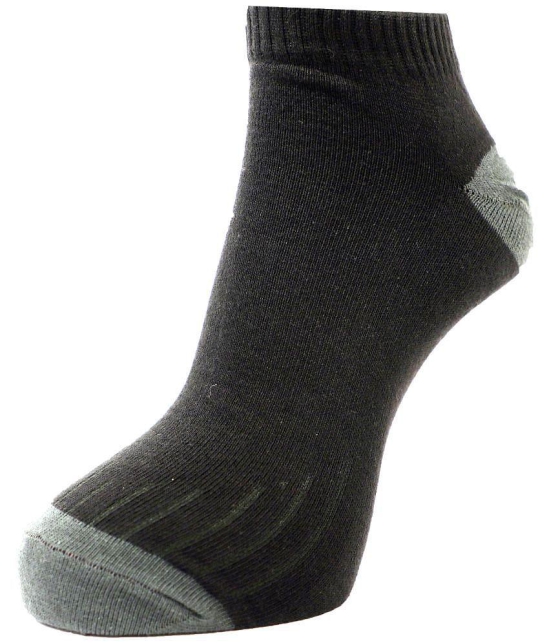 Dollar - Cotton Blend Multicolor Mens Ankle Length Socks ( Pack of 3 ) - Multicolor