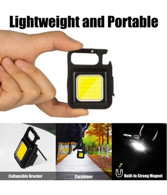 Solar Light,20 LED Torch + KEYCHAIN FLASHLIGHT (COMBO) - Black